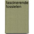 Fascinerende fossielen