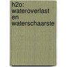 H2O: wateroverlast en waterschaarste by Luc Schuermans