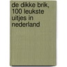 De Dikke Brik, 100 leukste uitjes in Nederland door Ellie Brik