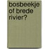 Bosbeekje of brede rivier?
