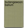 Buitengewoon Ballum by Jan De Koning