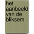 het aanbeeld van de bliksem