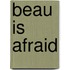 BEAU IS AFRAID