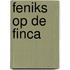 Feniks op de Finca