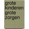 Grote kinderen grote zorgen door Ineke van Lint