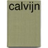 Calvijn