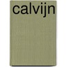 Calvijn door Herman Selderhuis