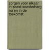 Zorgen voor elkaar in Soest-Soesterberg nu en in de toekomst by L. Heering