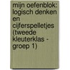 Mijn oefenblok: Logisch denken en cijferspelletjes (Tweede kleuterklas - groep 1) door Onbekend