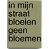 In mijn straat bloeien geen bloemen