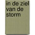 In de ziel van de storm