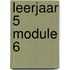 leerjaar 5 module 6
