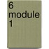 6 Module 1