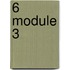 6 Module 3