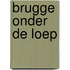 Brugge onder de loep