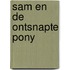 Sam en de ontsnapte pony