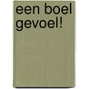Een boel gevoel! door Perry Emerson