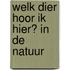 Welk dier hoor ik hier? in de natuur