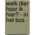 Welk dier hoor ik hier? - in het bos