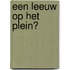 Een leeuw op het plein?