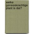 Welke geneeskrachtige plant is dat?