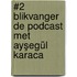 #2 Blikvanger de podcast met Ayşegül Karaca