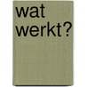 Wat werkt? door Wessel Blauw