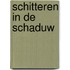 Schitteren in de schaduw