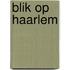 Blik op Haarlem