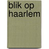 Blik op Haarlem door Norbert Middelkoop