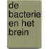 De bacterie en het brein