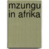 Mzungu in Afrika