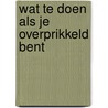 Wat te doen als je overprikkeld bent door Kelly Batist