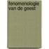 Fenomenologie van de geest
