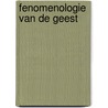 Fenomenologie van de geest by Willem Visser