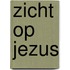 Zicht op Jezus