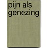 Pijn als genezing door Peter Pollet