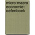 Micro-macro economie: oefenboek