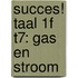 Succes! Taal 1F T7: Gas en stroom