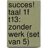 Succes! Taal 1F T13: Zonder werk (set van 5) door Stichting Les
