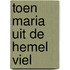 Toen Maria uit de hemel viel