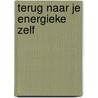 Terug naar je energieke zelf door Femke van Doesburg