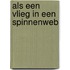 Als een vlieg in een spinnenweb