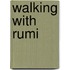 Walking with Rumi