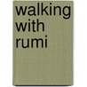 Walking with Rumi by Roelant Meijer