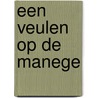 Een veulen op de manege door Britt Dekker