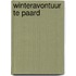 Winteravontuur te paard