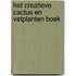 Het creatieve cactus en vetplanten boek