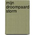 Mijn droompaard Storm
