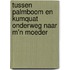 Tussen palmboom en kumquat onderweg naar m'n moeder